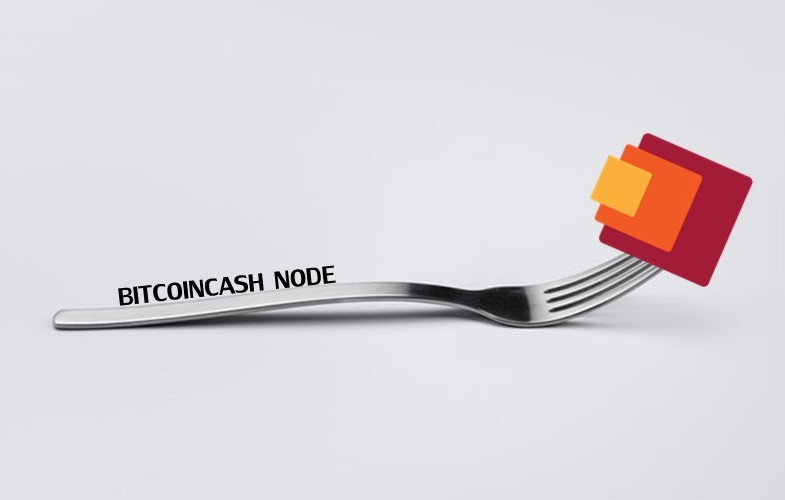 bitcoin cash chain fork