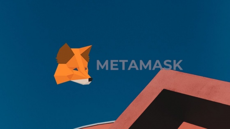 sgn coin metamask