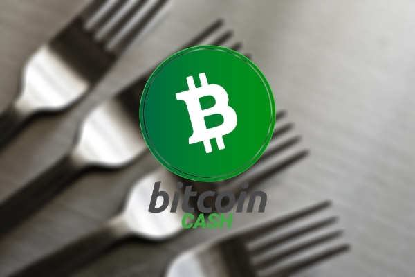 bch hard fork