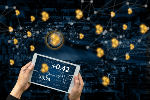 bitcoin risk to portfolio