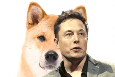 Elon Musk Supports Doge