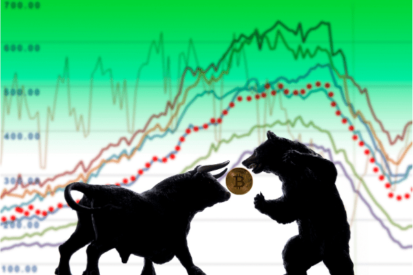 bulls versus bears