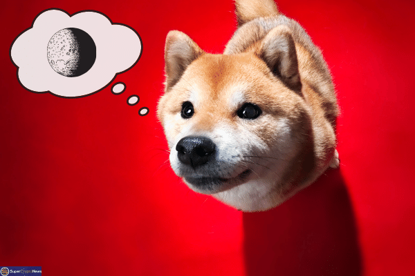 Doge Coin trading forecast
