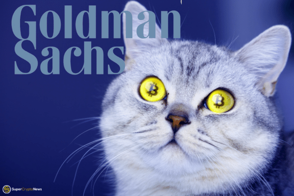 Goldman Sachs crypto