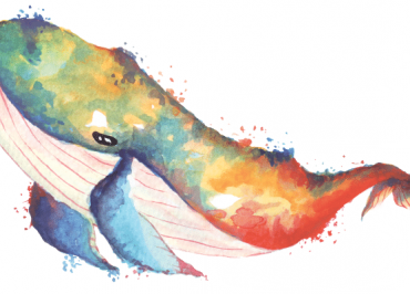 bitcoin whale Elon musk