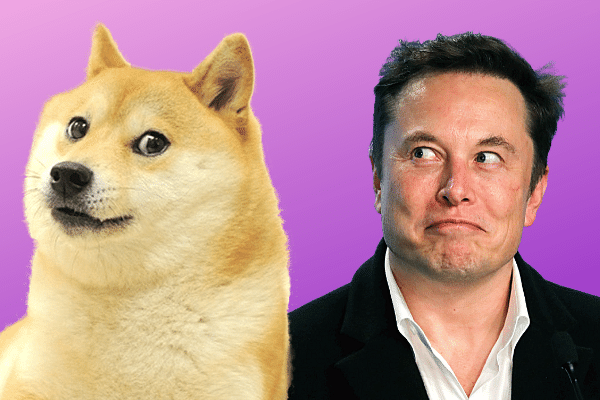 Elon Musk Reminds All to Invest in DOGE with Caution